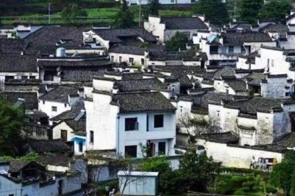 农村，大有可为（下）