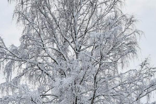 36氪独家｜掌门教育已选定投行拟赴美IPO，在线教育迎来上市潮