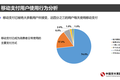 国内市场捧得红马斯克，但可能捧不红PayPal