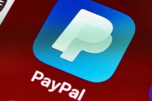 国内市场捧得红马斯克，但可能捧不红PayPal