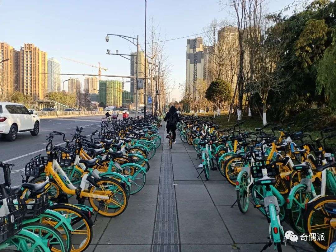 共享单车的城市困局