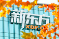 在线教育巨头都在亏损，新东方凭何营收利润双增长？