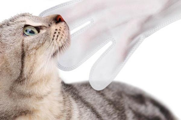 推出爆款宠物免洗SPA手套，「再三」从大清洁视角切入爱宠市场