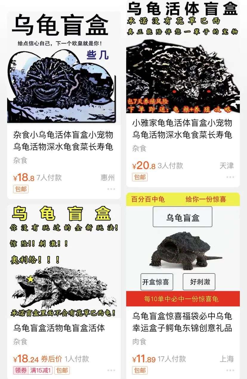 带血的“盲盒”：宠物9.9元起，不少在途中死亡