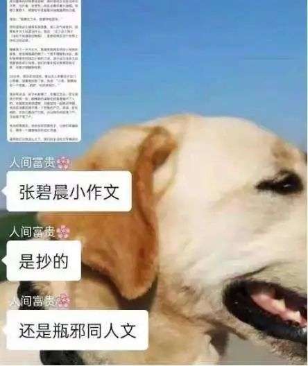 危机下的品牌公关：企业都该看看娱乐圈是怎么zuo的？