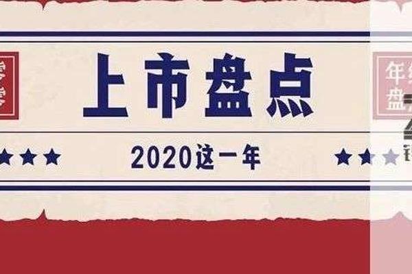 过去一年IPO大盘点：是流血上市，还是逆势而上