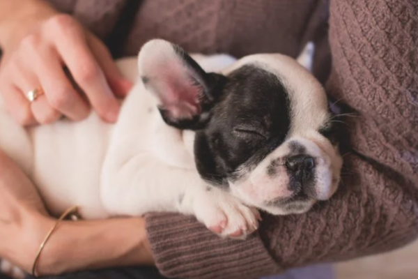 年轻人原地过年，也不忘搞钱