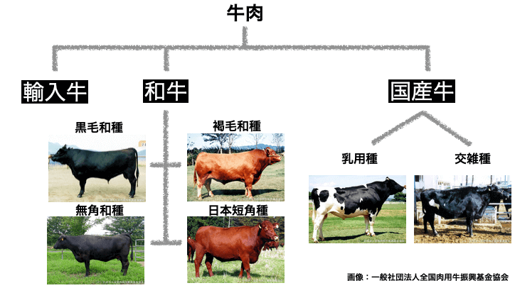 牛年生意经：日本和牛只有60年历史，为何成为全世界最贵的牛肉？