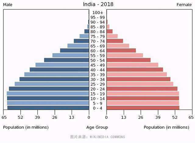 印度人口增长_印度人口已经达到了13亿,即将超越中国