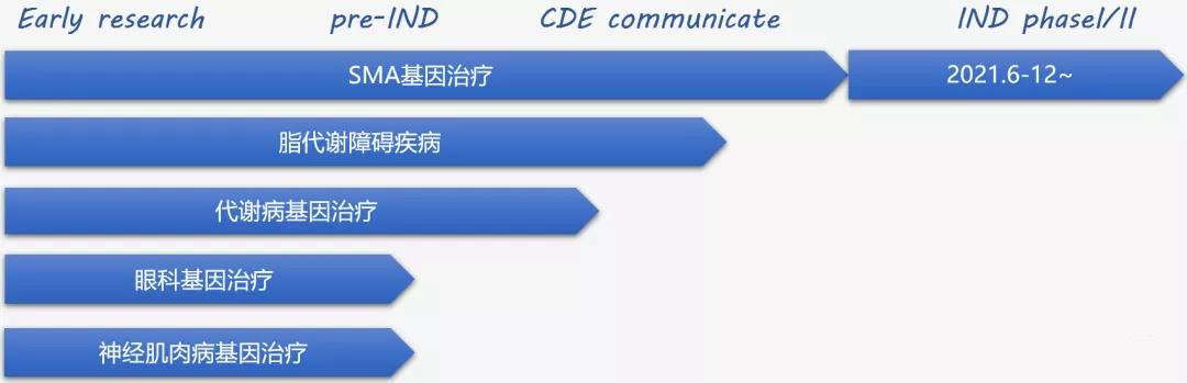 聚焦罕见病基因治疗，「锦篮基因」完成近亿元天使轮融资