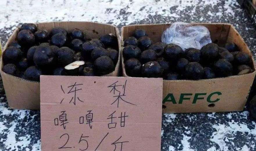 北方茶饮市场调查：奶茶的尽头，不在东北