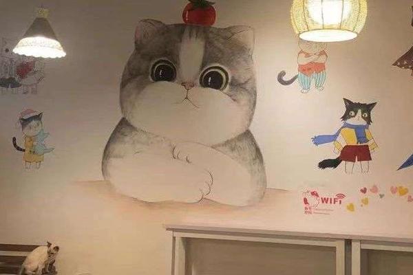 让猫给人打工，猫咖是一门好生意吗？