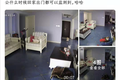 铲屎官的钱不好忽悠？试试宠物机器人
