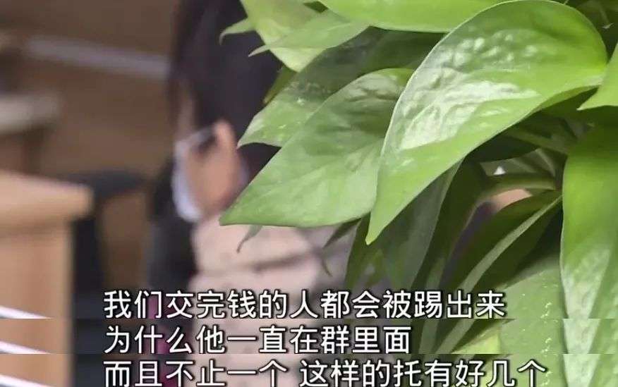 ​知名荐股机构被查，董事长等147人被抓，员工群聊天记录露骨：就是骗傻子客户的钱