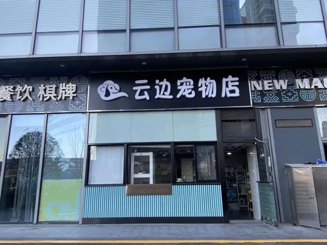 年轻人开宠物店是一个好选择吗？