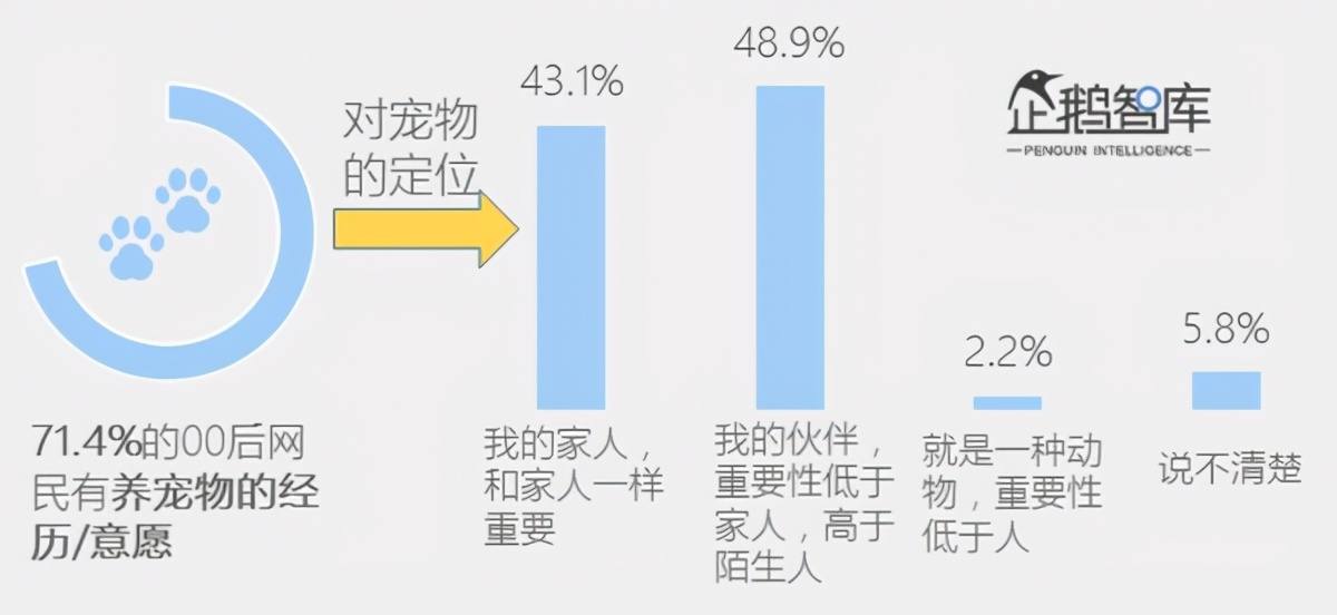 恋物志（一）：网红带货，宠主追捧，2021年宠物智能硬件会火吗？