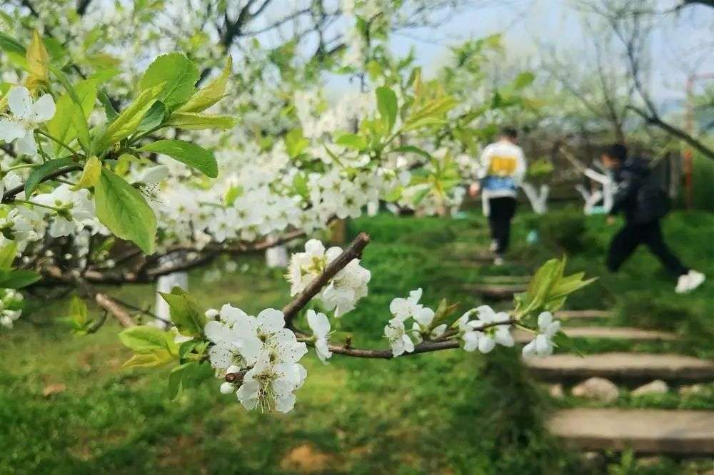 民宿业劫后余生样本：清退、转行与抄底扩张