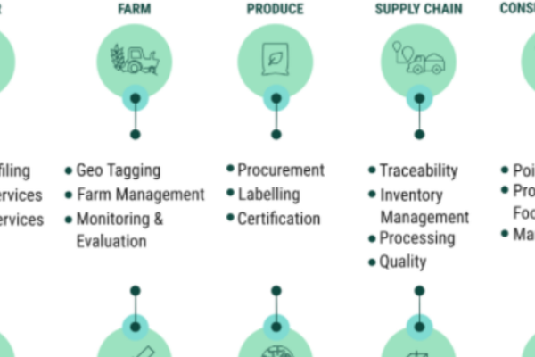 36氪大公司数字化创新指南0304 |中国移动聚合全网数字化优质资源，鲁花食用油的数字化