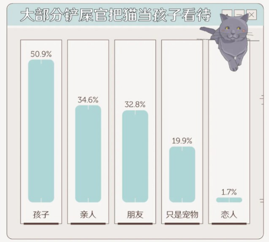 为了治愈孤独，年轻人们都在氪金养猫