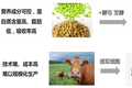 智氪丨全世界的人造肉，几乎都被山东这家粉丝厂承包了