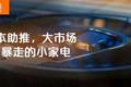 资本助推，大市场下暴走的小家电