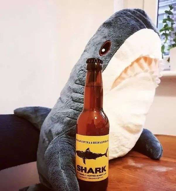 喝酒养鲨鱼图图片