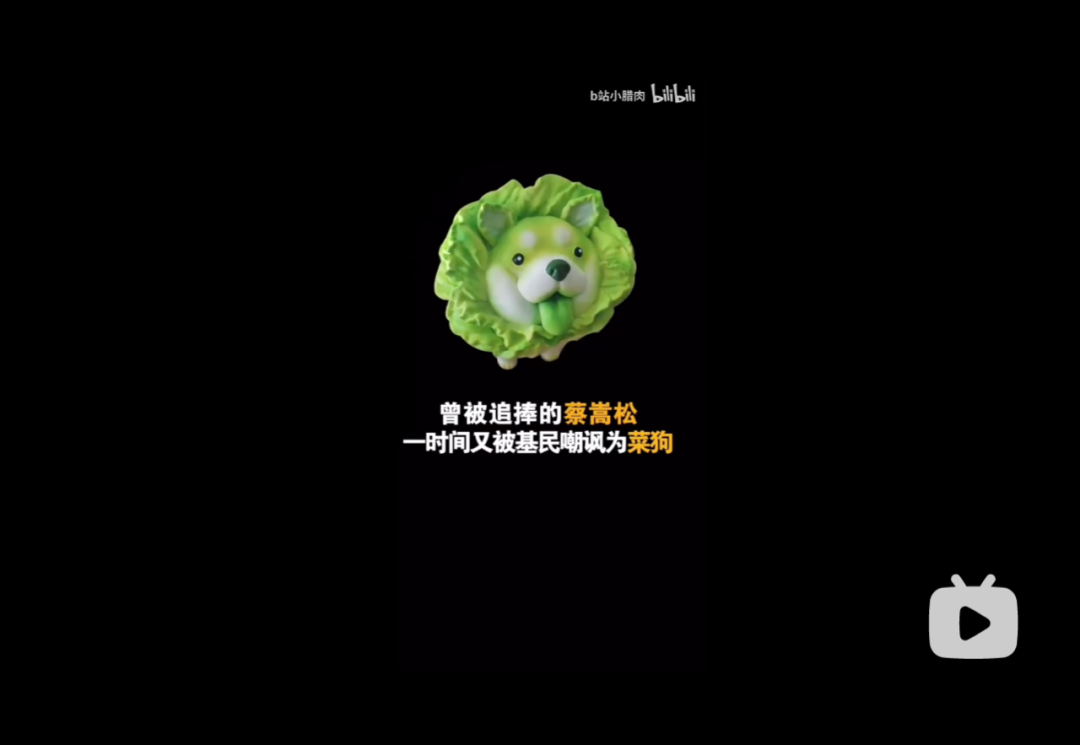 谁在消费“菜狗”？