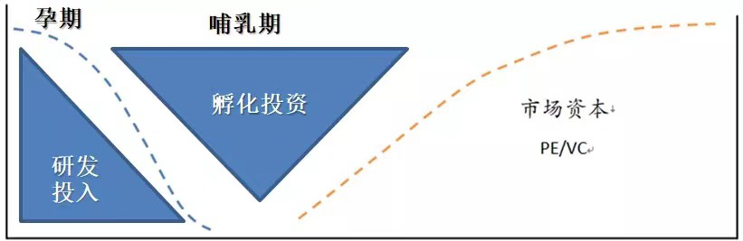 为什么说今天的金融科技中概股像极了6年前的亚马逊？