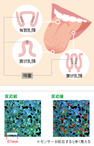 醋的行情不如酱油？可能是比错了方向