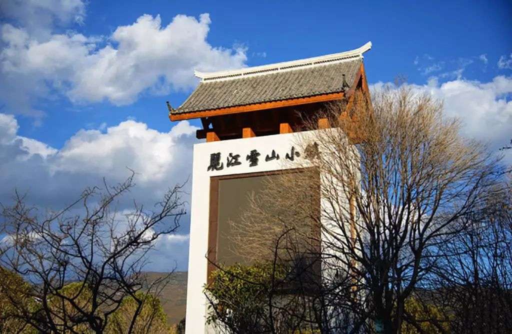 李亚鹏难圆地产大亨梦