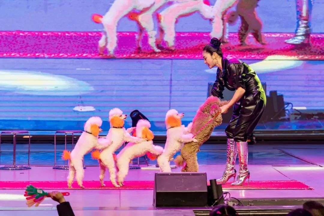 搭上陌陌的车，琴岛线上一路狂奔