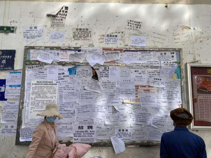 钉钉下沉：一个西部县城的教育缩影