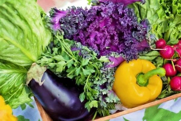 叮咚买菜突围记