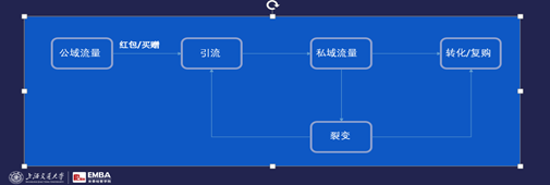 完美日记元气森林钟薛高，如何疯狂崛起？