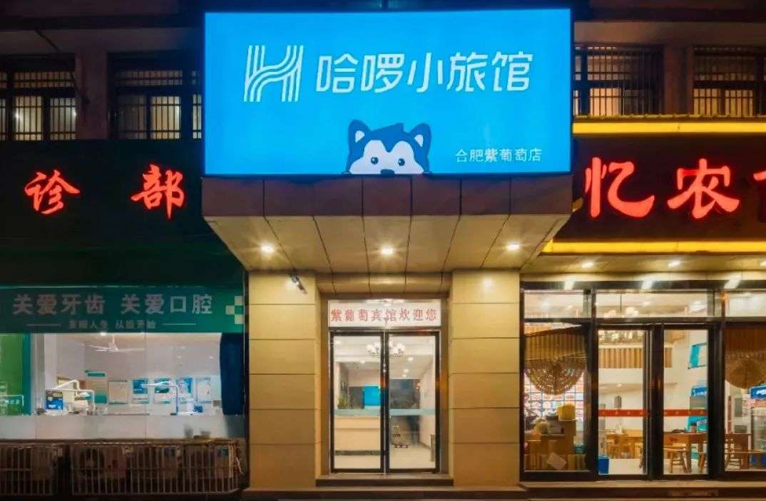 哈啰想抢小牛、雅迪的生意，有多少胜算？