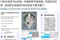 13岁女孩豪掷70万买画背后的“设圈”调查