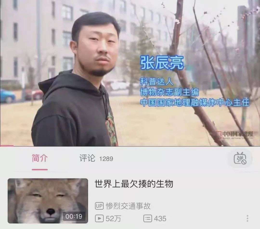 鉴定视频的视频，在互联网上火了