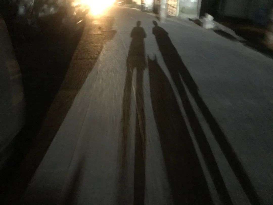 县城青年生活图鉴