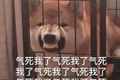 60后粉丝的自白：就算拄拐，也要追星