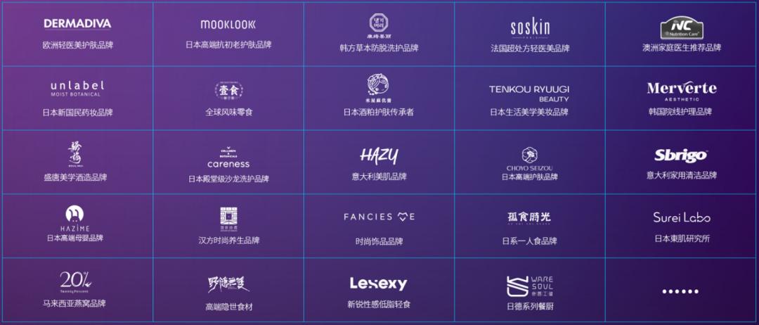 洋葱集团_洋葱集团品牌战略_跨境电商供应链管理