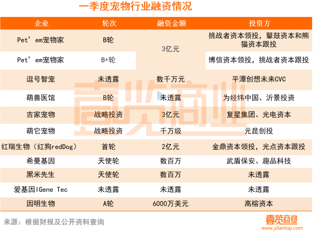 我在4个宠物社群月入10万