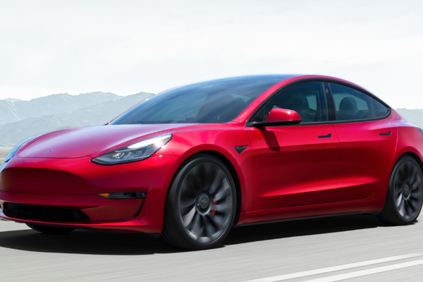 特斯拉的歉意，鳄鱼的眼泪？