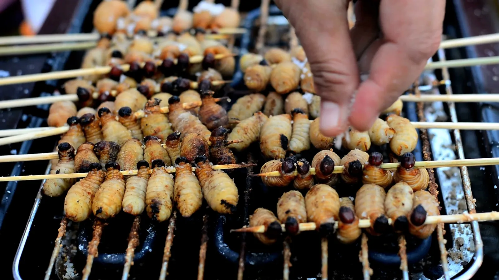 营养超过肉类，昆虫可能是未来的“超级食品”