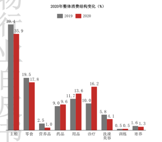 2000亿宠物市场的困局