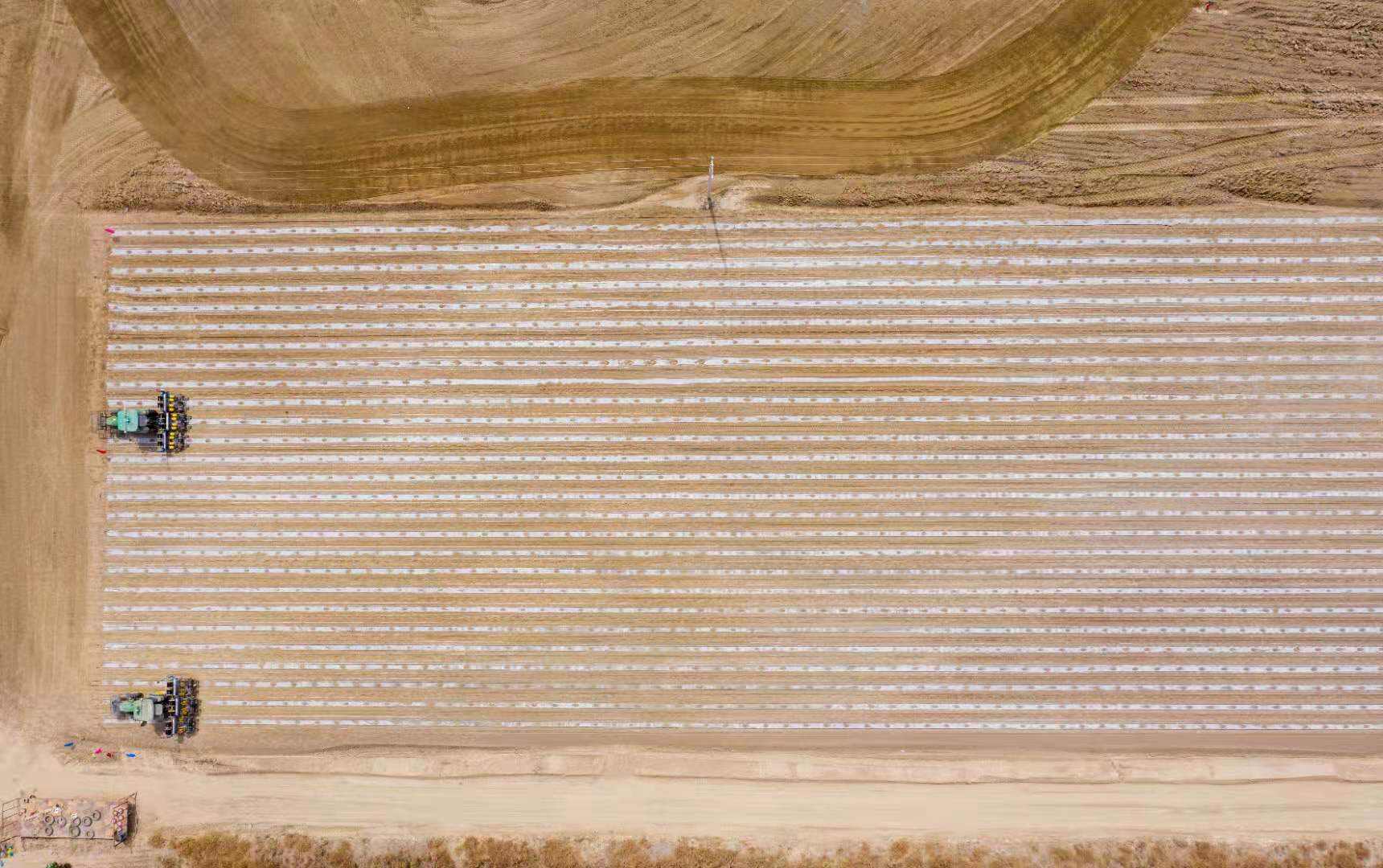 两个人挑战管理3000亩棉田，「极飞科技」国内首个无人化棉花农场项目正式启动