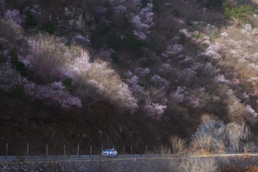 内卷洪流之外，他们在「散养」人生｜NEO居时代