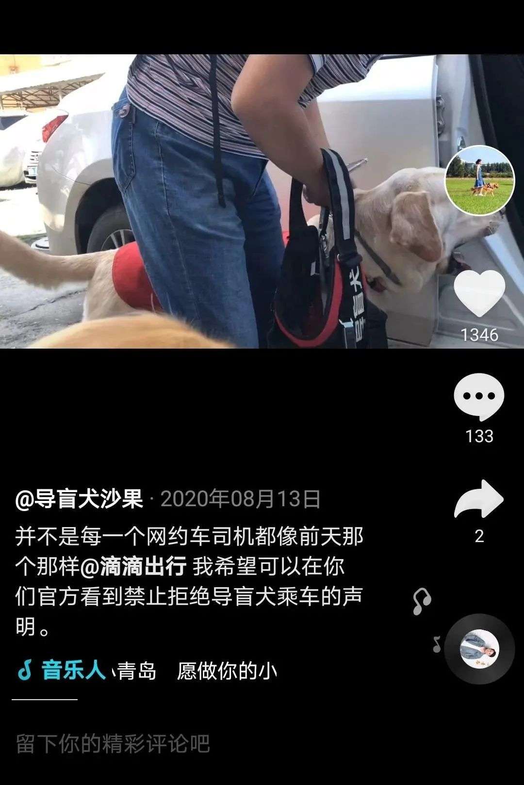 带着导盲犬打车是一种什么体验？