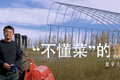 北大工程师海外变身网红“菜农”，异国创业路上的年轻人都在“玩”些啥