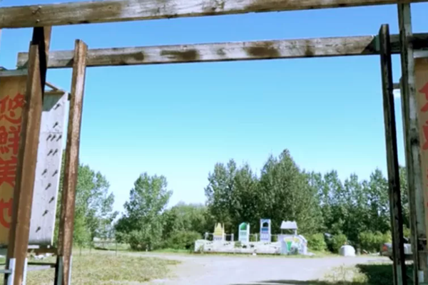 北大工程师海外变身网红“菜农”，异国创业路上的年轻人都在“玩”些啥