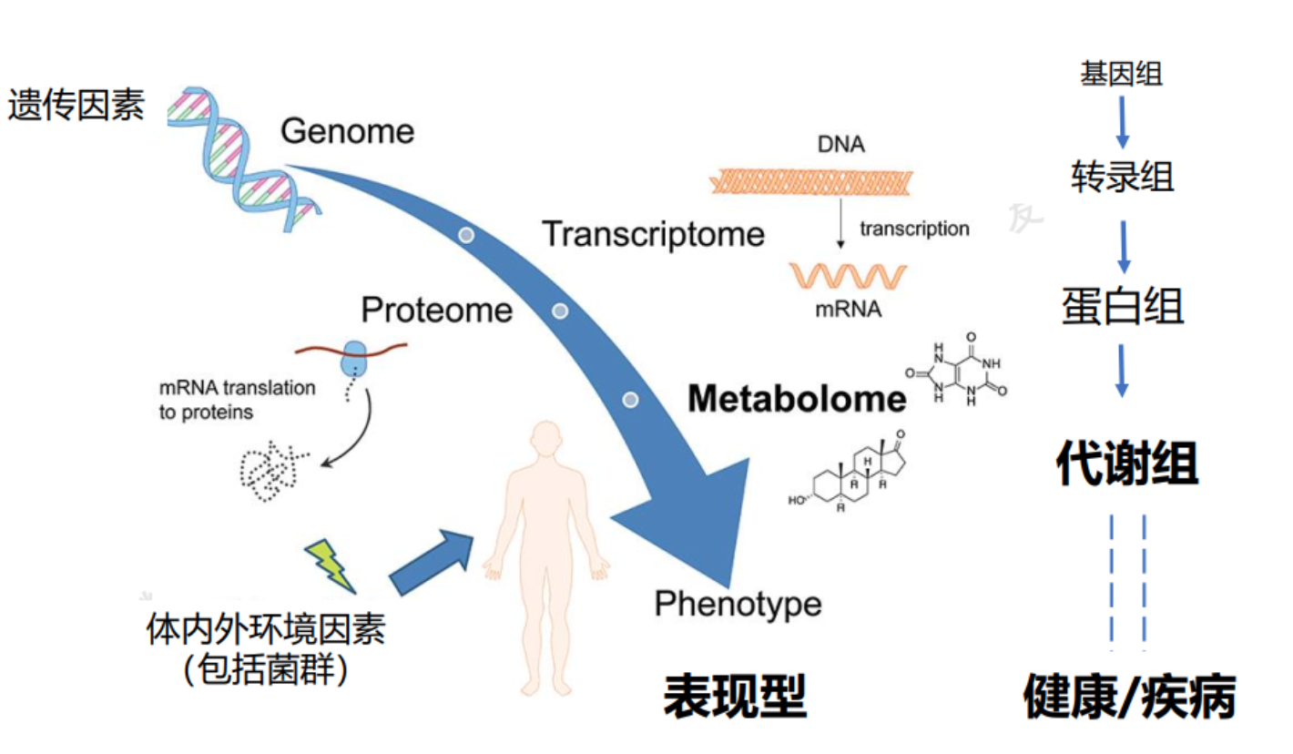 36氪首发 | 提供临床质谱和代谢组学全解决方案，「诺米代谢」获亿元A轮融资-36氪